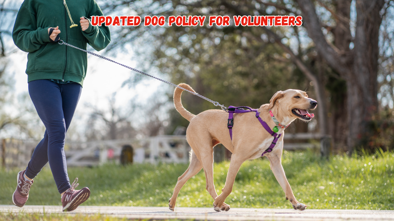 Updated Dog Policy For Volunteers