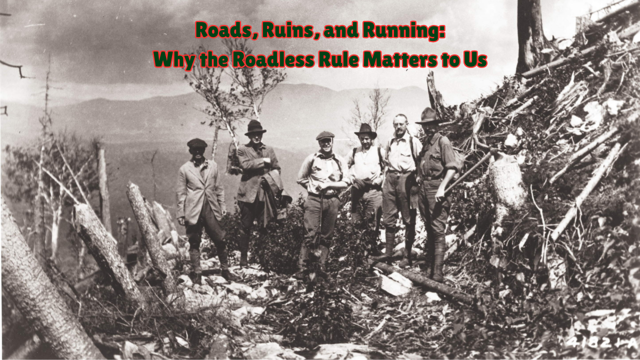 Roads, Ruins, and Running: Why the Roadless Rule Matters to Us